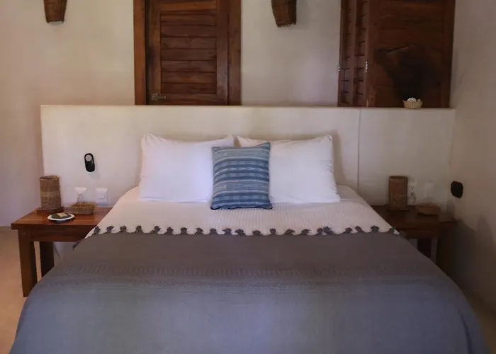 Casa Violeta